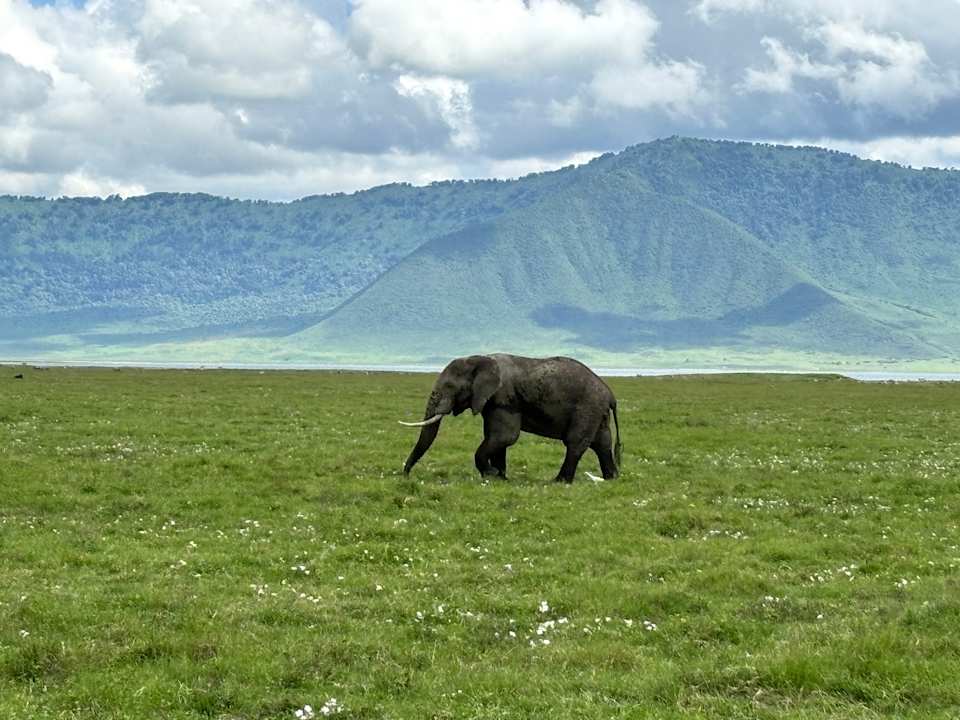 Sonstiges Ngorongoro Lodge member of Meliá Collection