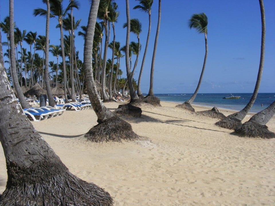 Hotel-Strand Grand Sirenis Punta Cana Resort & Aquagames