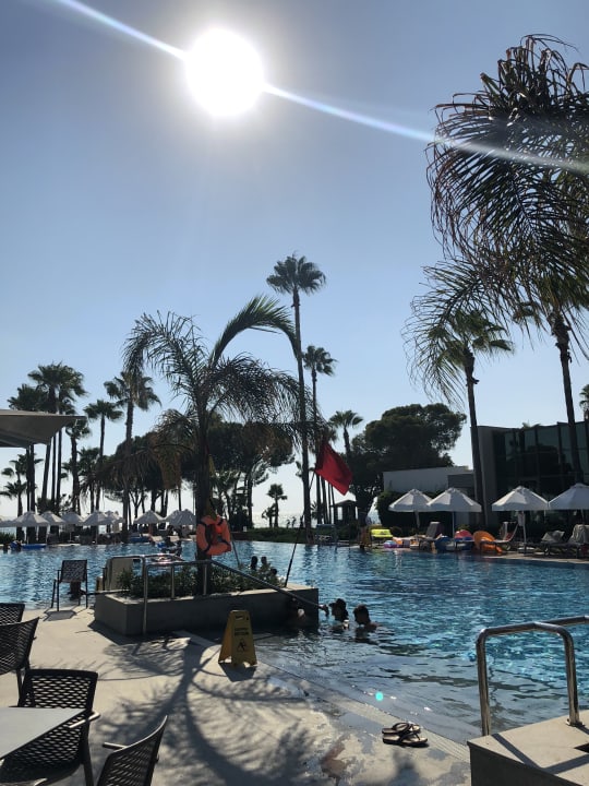 Pool Acanthus Cennet Barut Collection