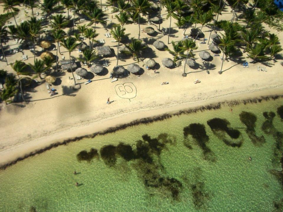 Seegras Natur Catalonia Royal Bavaro - Adults only