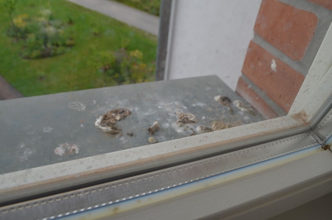 Alles Bio Biohotel Stiftsgut Wilhelmsglücksbrunn