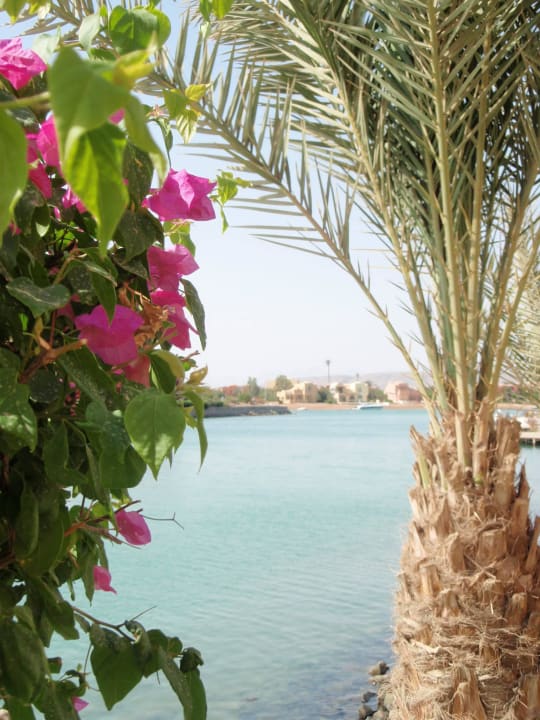 Blick zum Sheraton Hotel Hotel Three Corners Ocean View prestige - Adults only