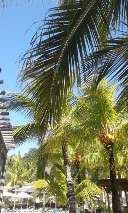 Gartenanlage Lagoon Attitude - Adults only