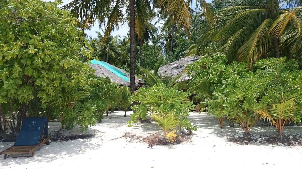 Superior Villen - Abgedeckte Dächer Filitheyo Island Resort