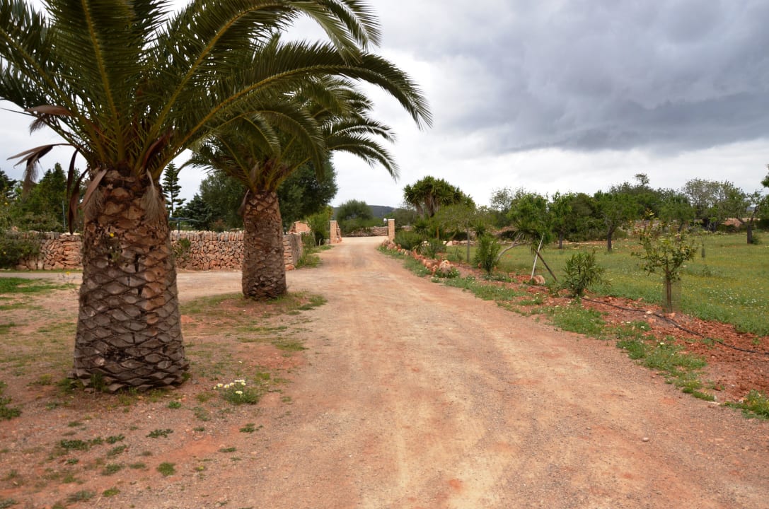 Zufahrt Finca Son Marimon