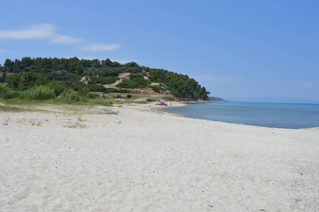 Blisko żółwi Hotel Athos Palace