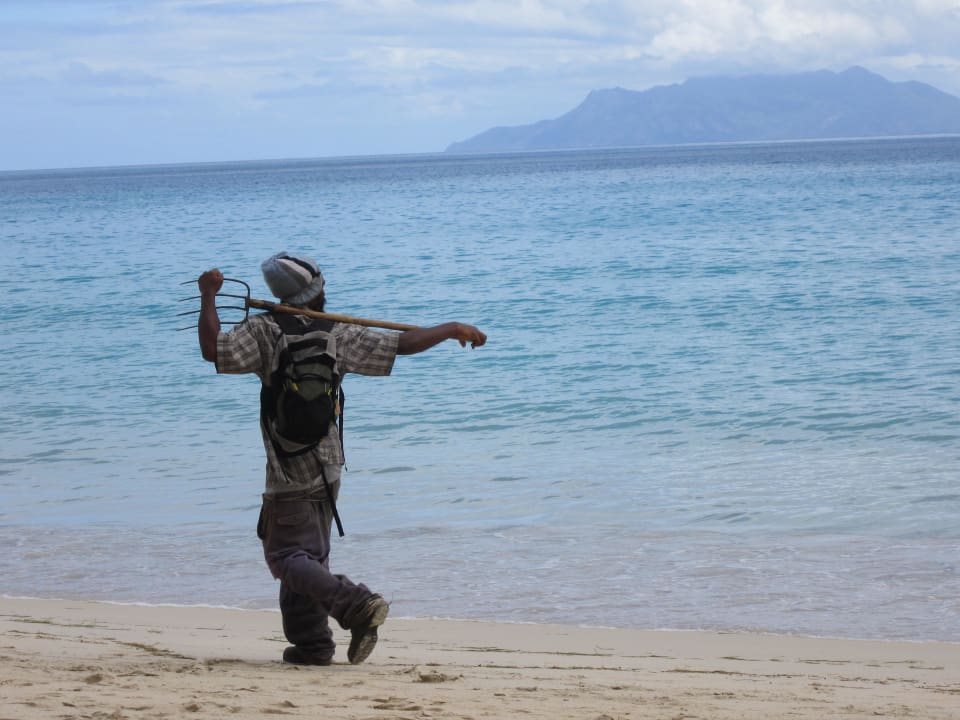 Relaxter Palmenwaldarbeiter Berjaya Beau Vallon Bay Resort & Casino