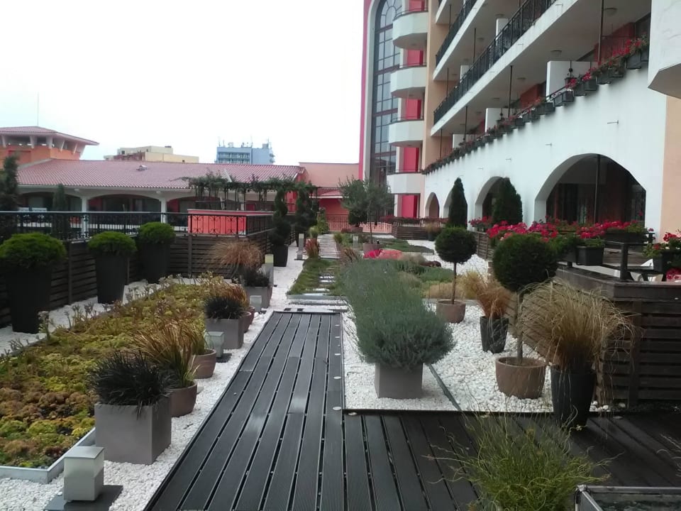 Chillout Zone Hotel Hrizantema