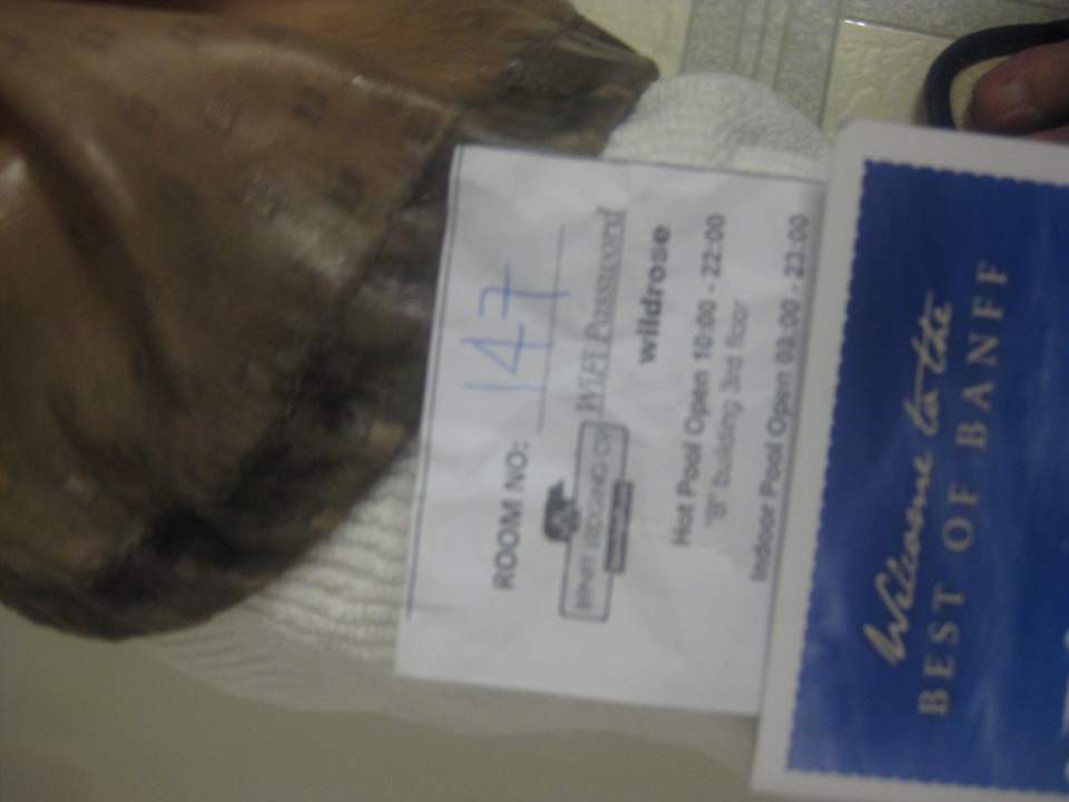 Duschvorhang dreckig :-) Hotel Inns of Banff