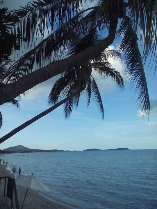 Beach Samui Paradise Chaweng Beach Resort & Spa