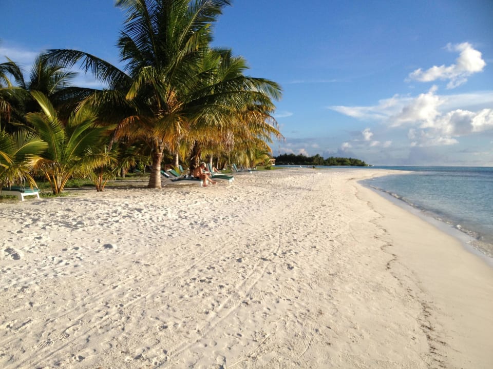 Strand Meeru Maldives Resort Island