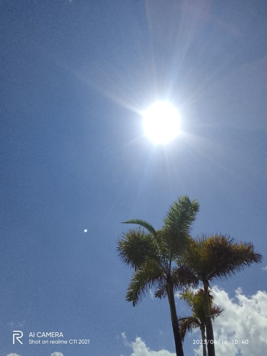 Ausblick Thompson Hotel Playa del Carmen