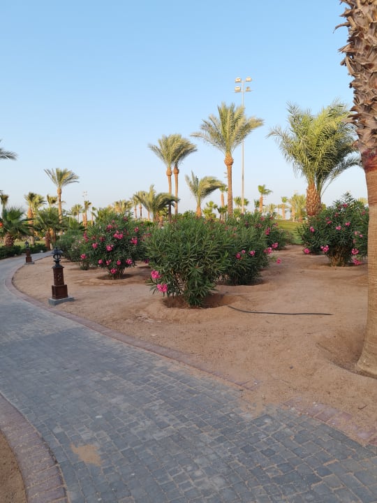 Gartenanlage Steigenberger ALDAU Beach Hotel