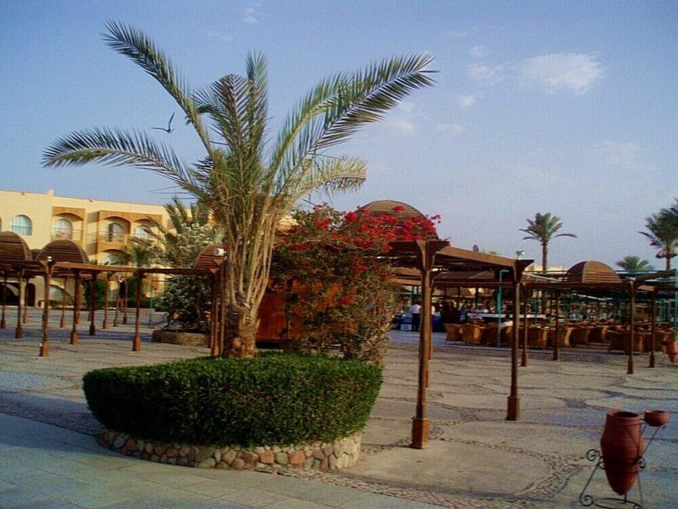 Między barem a restauracją Desert Rose