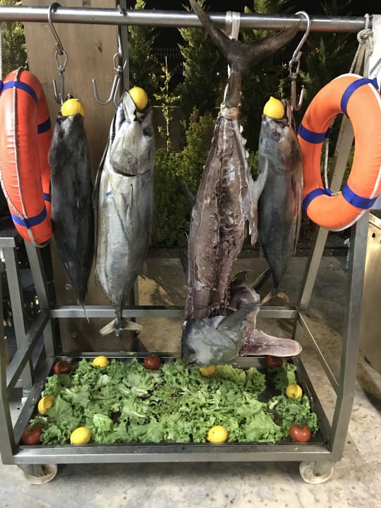 Restaurant Adalya Elite Lara