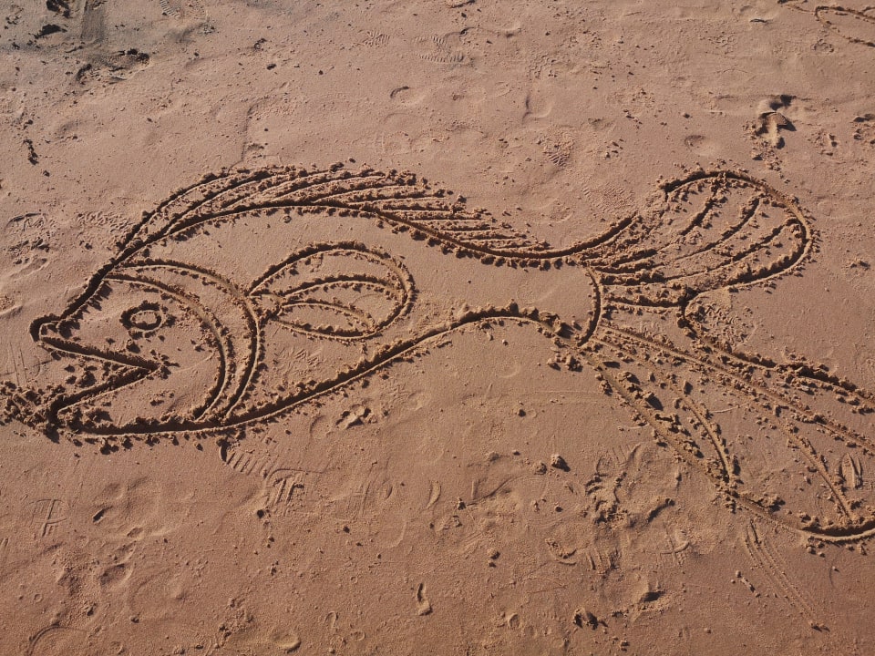 Strand Sentido Caribbean World Soma Bay