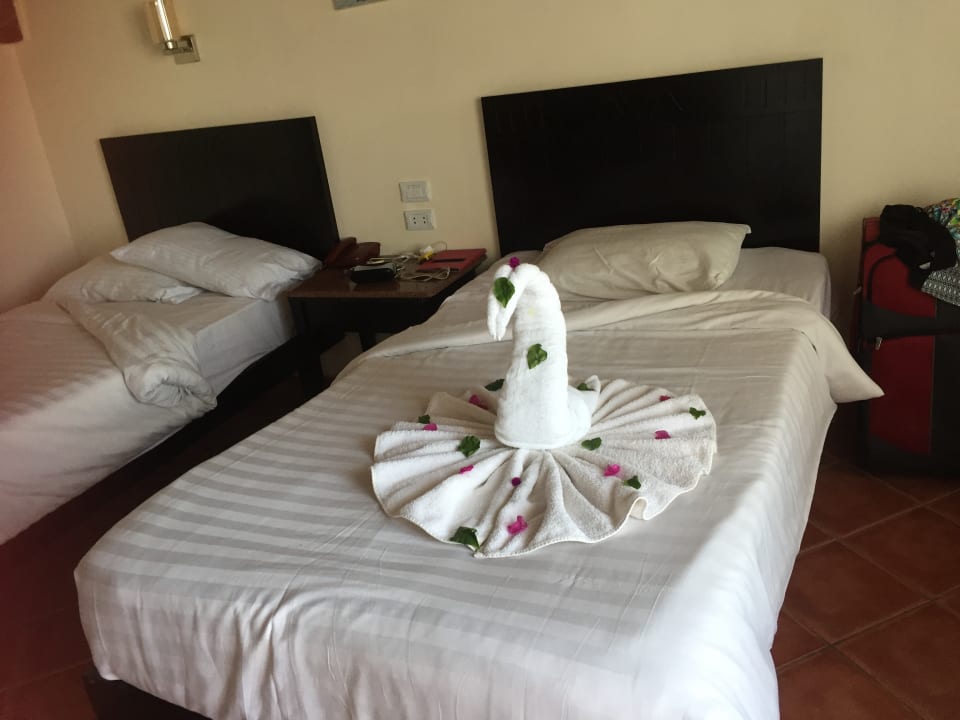 Zimmer Three Corners Sea Beach Resort