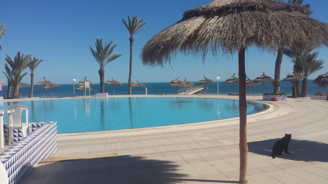 Pool Hotel El Mouradi Djerba Menzel