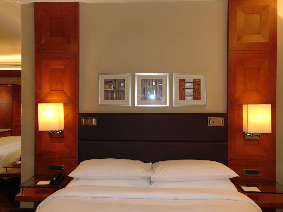 Zimmer Hotel Hyatt Regency Delhi