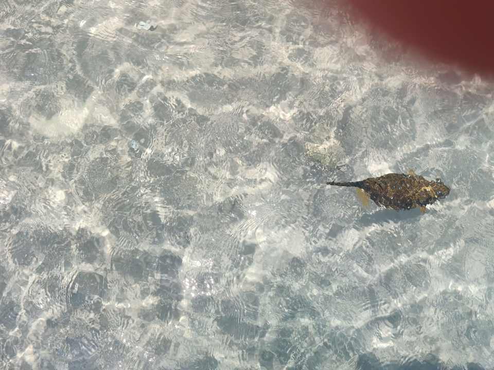 Strand Stella Beach Resort & Spa Makadi Bay