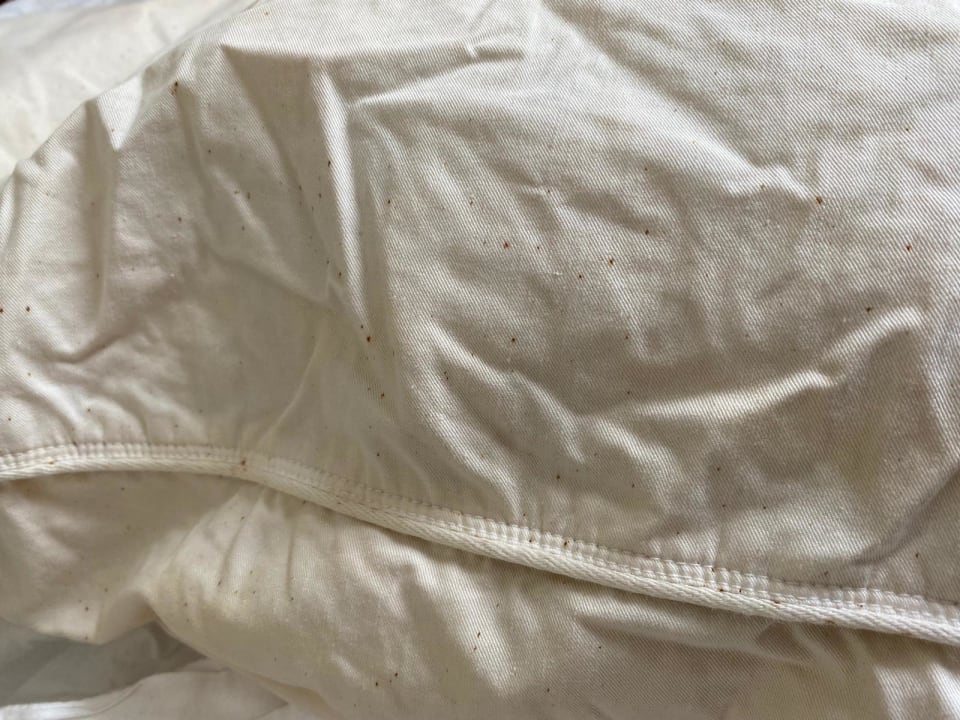 Zimmer SEETELHOTEL Villa Aurora