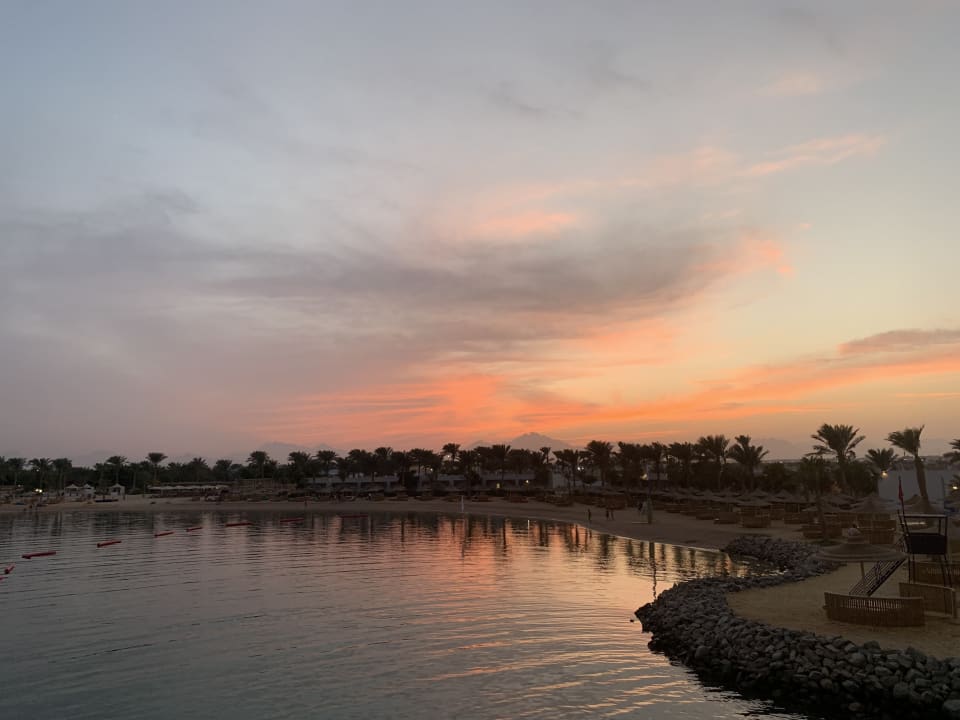 Ausblick Desert Rose