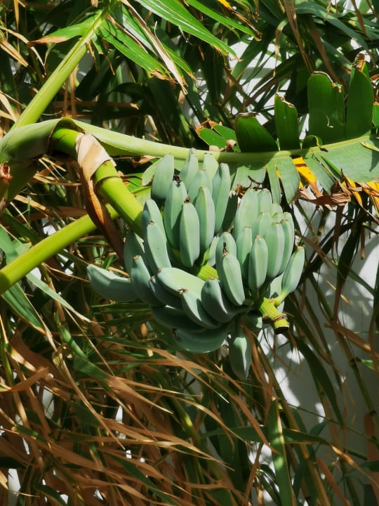 Strand Nefeli Hotel Rethymno
