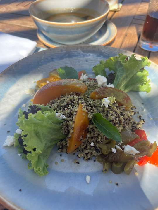 Gastro JAZ Elite Amara