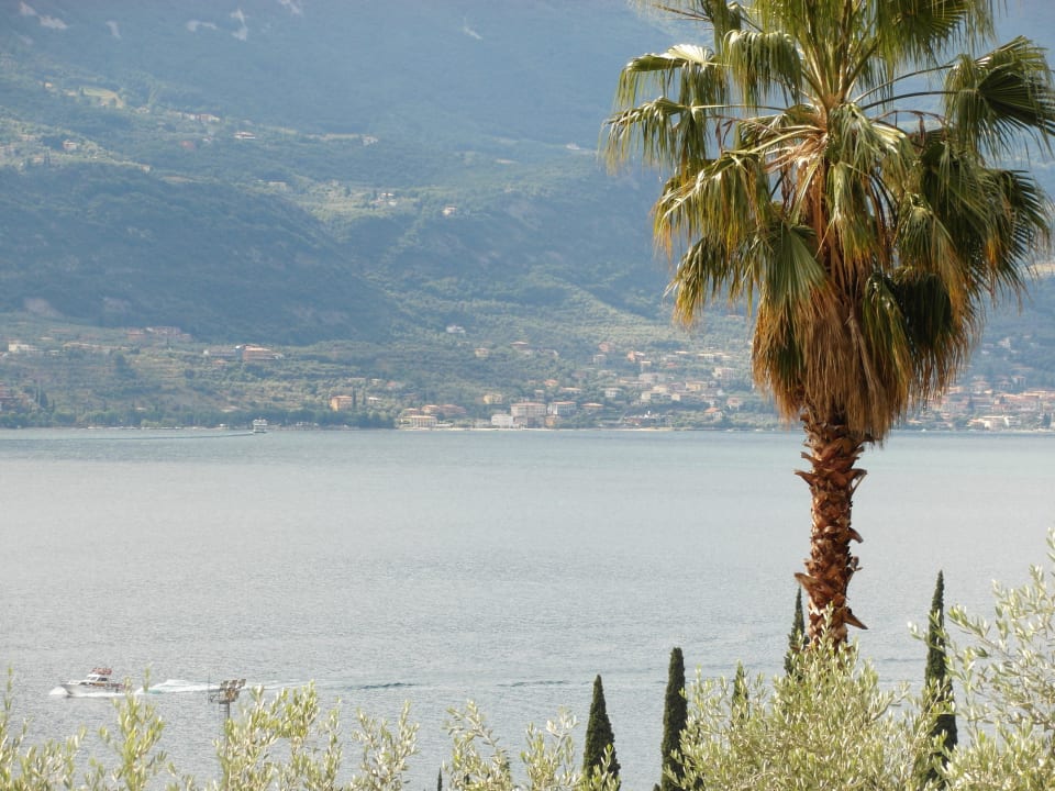 Blick auf den Gardasee und Malcesine Hotel Coste