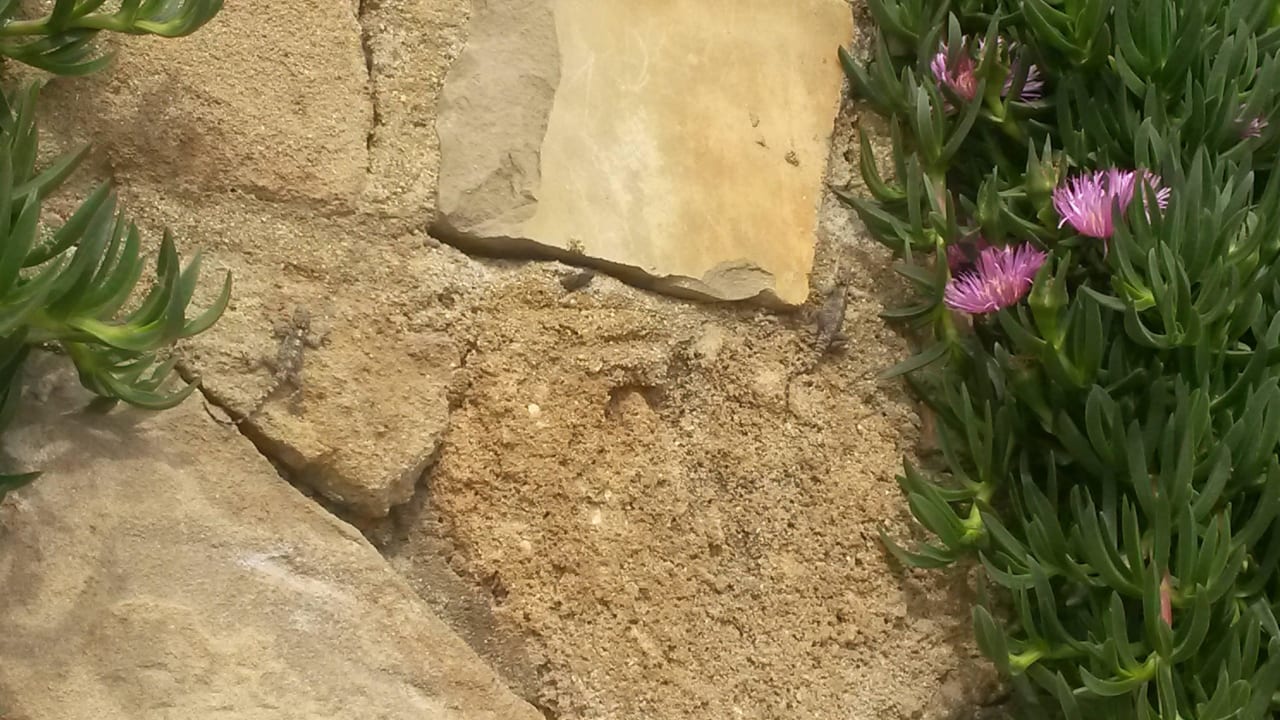 Natur pur Incekum Su Hotel
