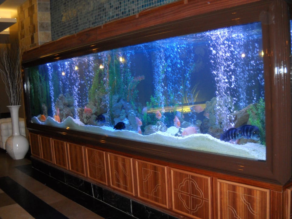 СПА Hotel Delphin Imperial