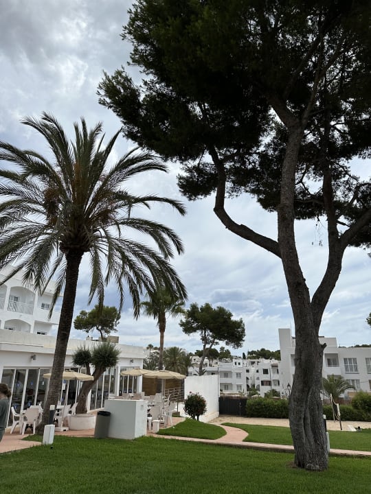 Gartenanlage Gavimar Ariel Chico Club & Resort