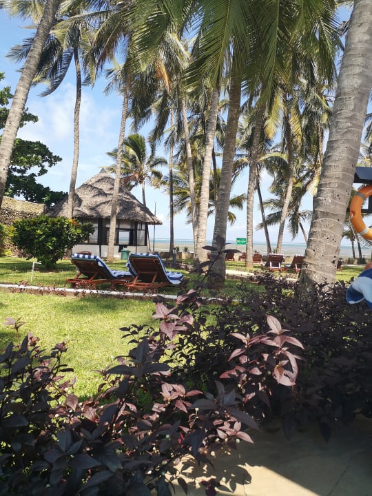 Gartenanlage Hotel Traveller's Club