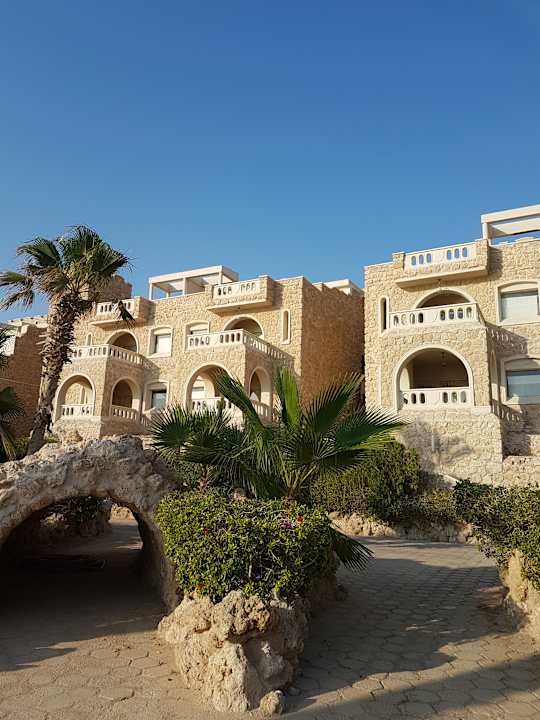 Zimmer Pickalbatros Citadel Resort