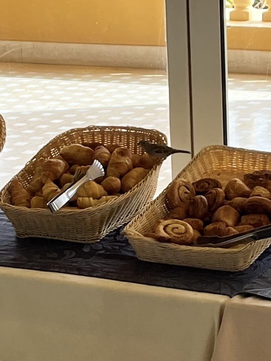 Gastro Grand Waterworld Makadi & Family Star Makadi