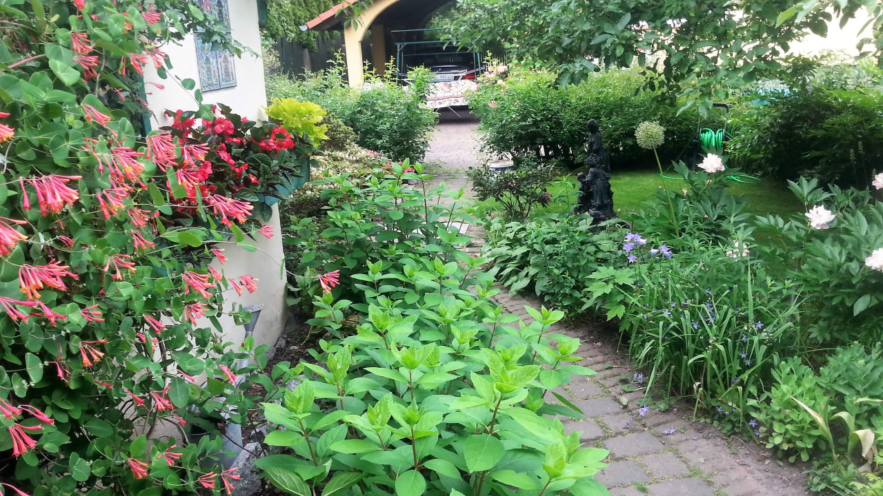 Gartenanlage Słoneczny Apartament