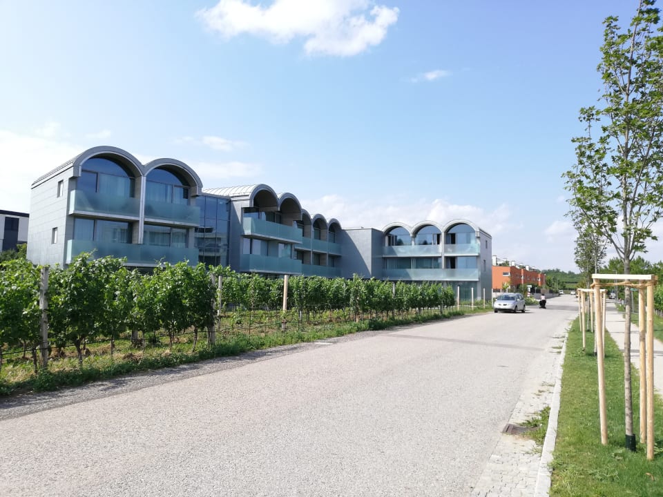 Außenansicht LOISIUM Wine & Spa Hotel Langenlois