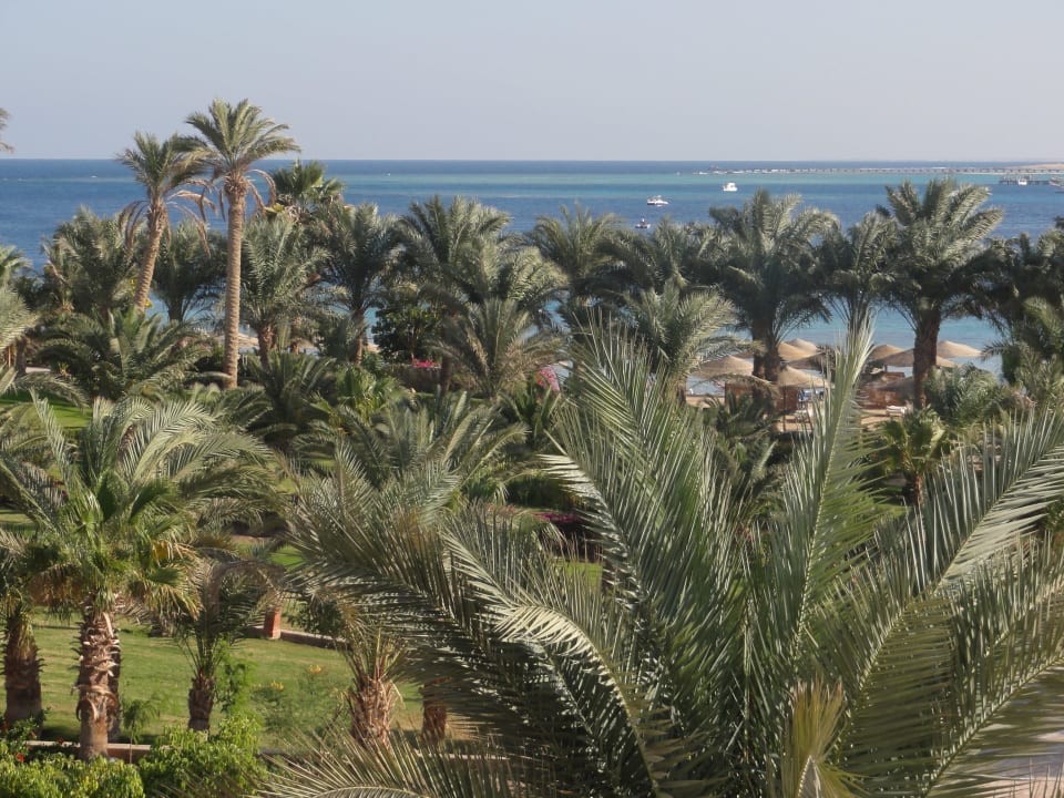 Nur ein Ausschnitt der Gartenanlage Fort Arabesque Resort, Spa & Villas