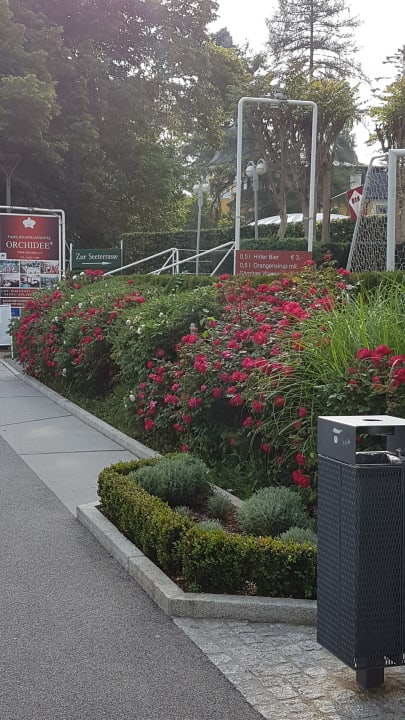 Gartenanlage Strandhotel Orchidee