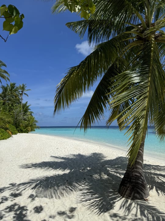 Strand Safari Island Maldives