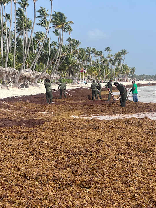 Strand Grand Palladium Punta Cana Resort & Spa