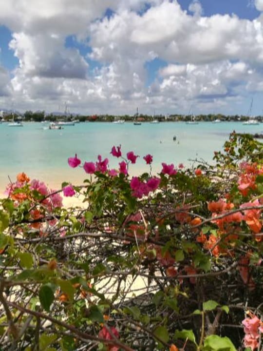 Blick von der Terasse am Strand Mauricia Beachcomber Resort & Spa