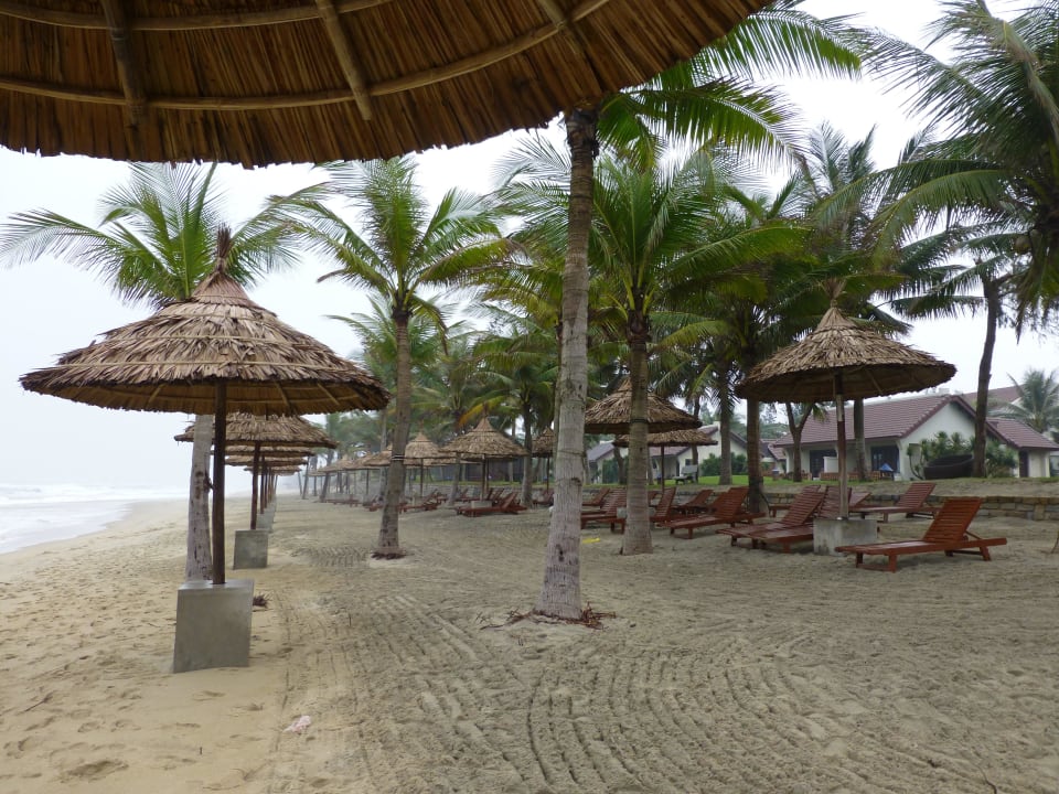 Strandbereich Palm Garden Beach Resort & Spa