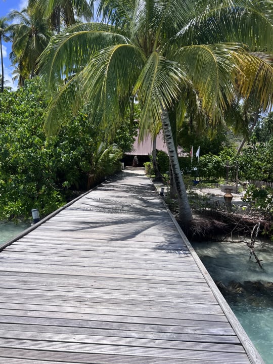 Lobby Filitheyo Island Resort