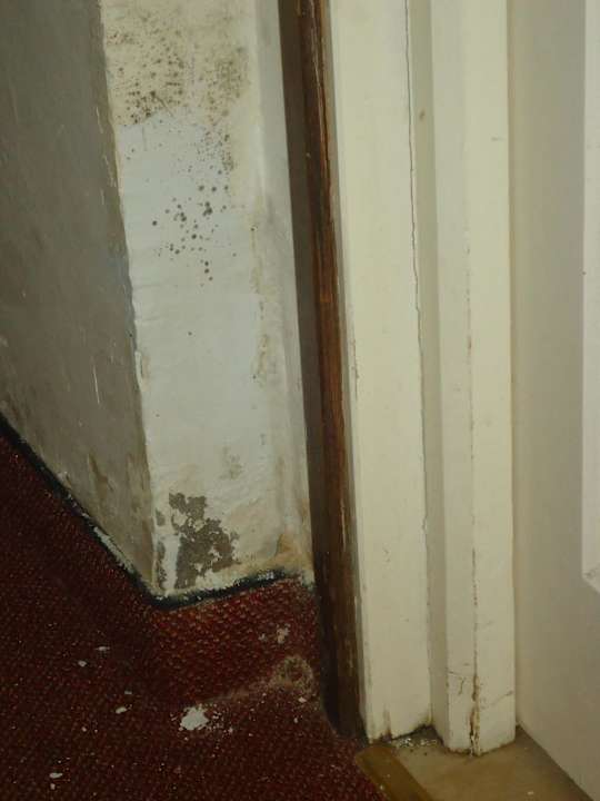 Schimmel im Flur Hotel Yasmine Beach Resort