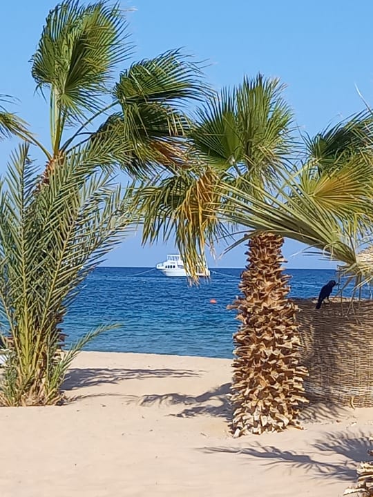 Strand Lotus Bay Beach Resort