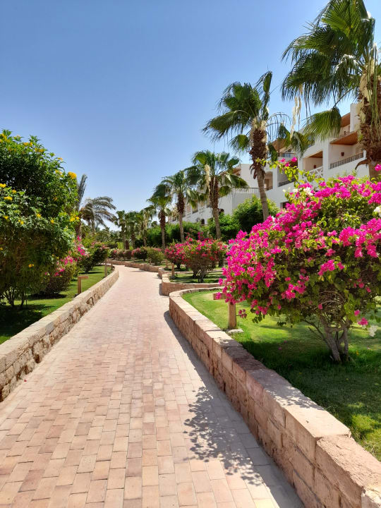 Gartenanlage Fort Arabesque Resort, Spa & Villas