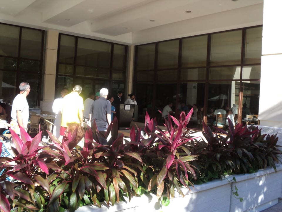 Restauracja word Dreams Riviera Cancun Resort & Spa