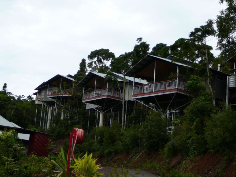 Pfahlbauten im Regenwald O'Reilly's Rainforest Resort