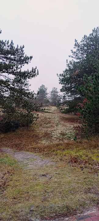 Sonstiges Hotel zur alten Inselkirche